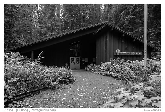 Ohanapecosh Visitor Center. Mount Rainier National Park (black and white)