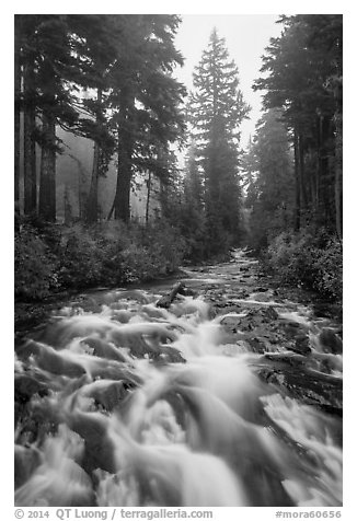 Stream on its way to Narada Falls. Mount Rainier National Park (black and white)