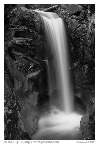 Christine Falls. Mount Rainier National Park (black and white)