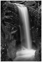 Christine Falls. Mount Rainier National Park ( black and white)