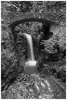 Bridge framing Christine Falls. Mount Rainier National Park ( black and white)