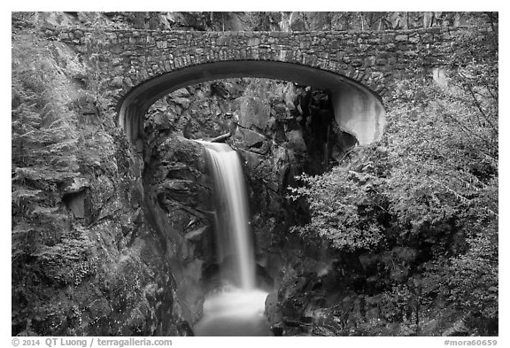 Stone Bridge and Christine Falls. Mount Rainier National Park (black and white)