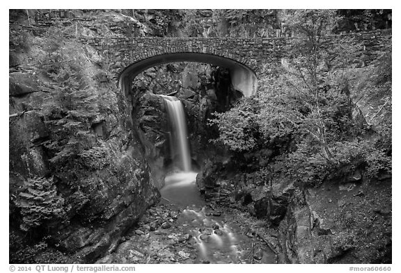 Road bridge and Christine Falls. Mount Rainier National Park (black and white)