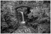 Road bridge and Christine Falls. Mount Rainier National Park ( black and white)