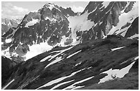 Mule deer and peaks, early summer, North Cascades National Park. Washington, USA. (black and white)