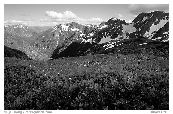 Stehekin Valley seen from Sahale Arm, North Cascades National Park.  (black and white)