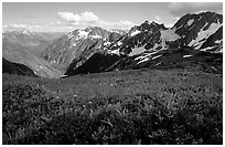 Stehekin Valley seen from Sahale Arm, North Cascades National Park. Washington, USA. (black and white)