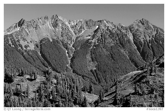 Steep forested peaks, North Cascades National Park.  (black and white)