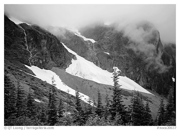 Peaks and snowfields, Cascade pass. North Cascades National Park (black and white)
