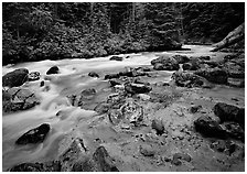 Creek near Kennedy hot springs, Glacier Peak Wilderness, Mt. Baker/Snoqualmie National forest. Washington ( black and white)
