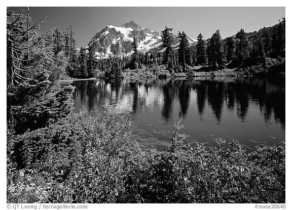 Mount Shuksan and Picture lake, mid-day,  North Cascades National Park. Washington, USA.