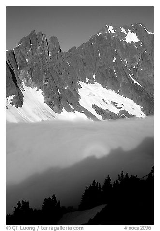 Peaks above fog-filled Cascade River Valley, early morning, North Cascades National Park.  (black and white)