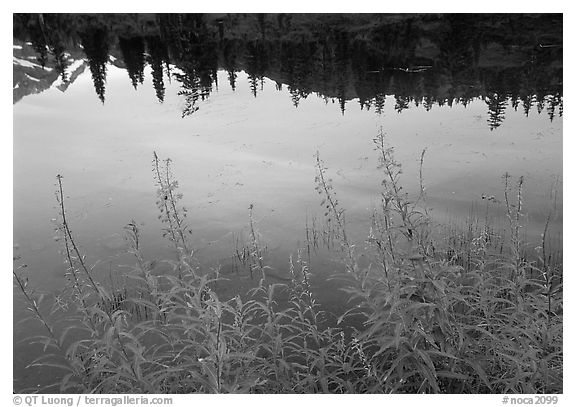 Reflections in Picture lake, sunset,  North Cascades National Park.  (black and white)