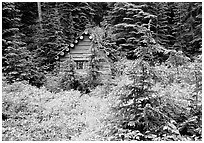 Log cabin, Glacier Peak Wilderness. Washington ( black and white)