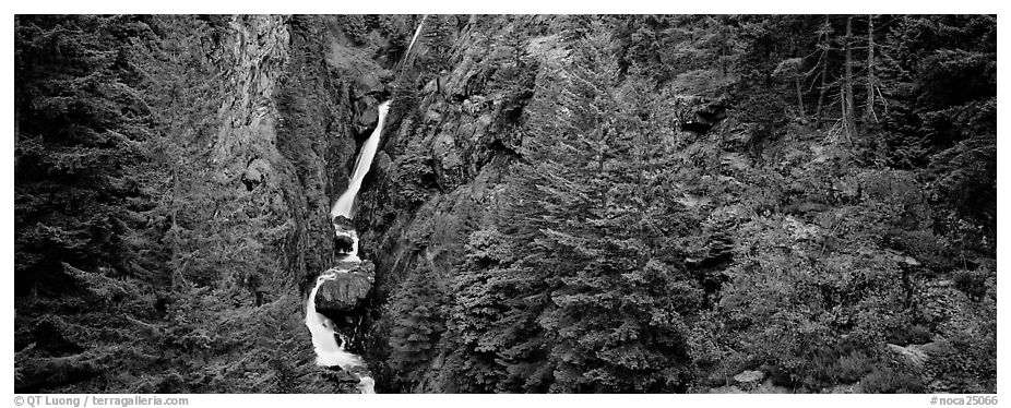 Waterfall in gorge surrounded by forest, North Cascades National Park Service Complex.  (black and white)