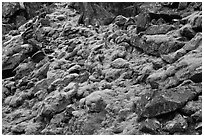 Mossy rocks, North Fork of the Cascade River, North Cascades National Park.  ( black and white)