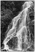 Waterfall along North Fork of the Cascade River, North Cascades National Park.  ( black and white)