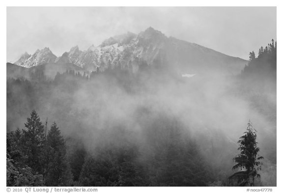 Peaks and fog, North Cascades National Park.  (black and white)