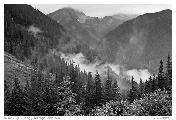 North Fork of the Cascade River Valley, North Cascades National Park.  (black and white)