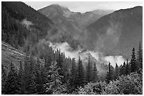 North Fork of the Cascade River Valley, North Cascades National Park.  ( black and white)
