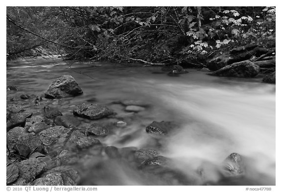 Smooth flow of North Fork of the Cascade River in the fall, North Cascades National Park.  (black and white)