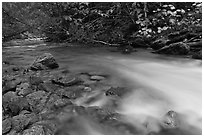 Smooth flow of North Fork of the Cascade River in the fall, North Cascades National Park.  ( black and white)
