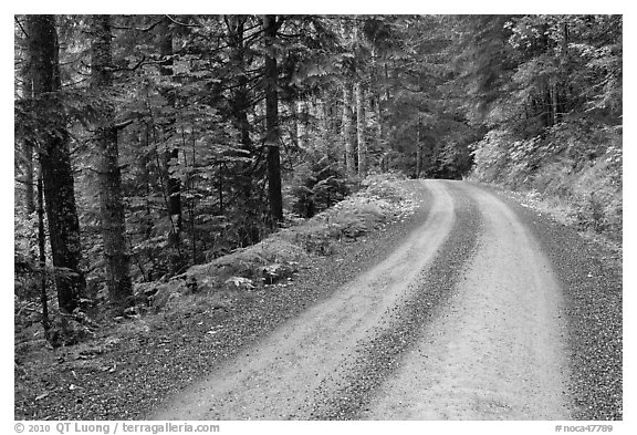 Cascade River Road, North Cascades National Park.  (black and white)