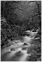 North Fork of the Cascade River, North Cascades National Park.  ( black and white)