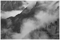 Ridges, trees, and fog, North Cascades National Park.  ( black and white)
