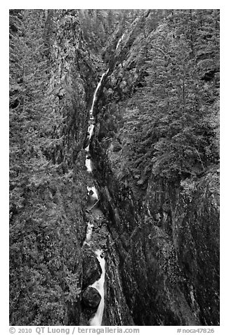 Gorge Creek Falls in autumn, North Cascades National Park Service Complex.  (black and white)