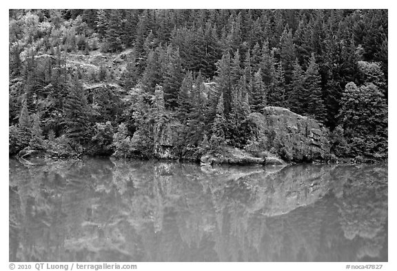 Forest reflected in turquoise waters, Gorge Lake, North Cascades National Park Service Complex.  (black and white)