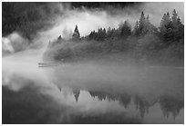 Fog trees, and pier, Diablo Lake, North Cascades National Park Service Complex.  ( black and white)