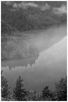 Turquoise waters and fog, Diablo Lake, North Cascades National Park Service Complex. Washington, USA. (black and white)