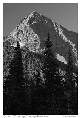Greybeard Peak rising above forest, North Cascades National Park.  (black and white)