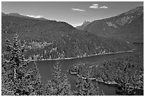 Ross Lake, morning,  North Cascades National Park Service Complex.  ( black and white)