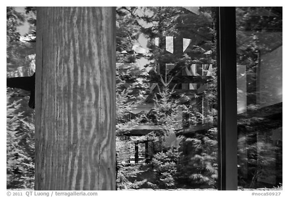 Forest, Visitor Center window reflexion, North Cascades National Park.  (black and white)