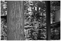 Forest, Visitor Center window reflexion, North Cascades National Park.  ( black and white)