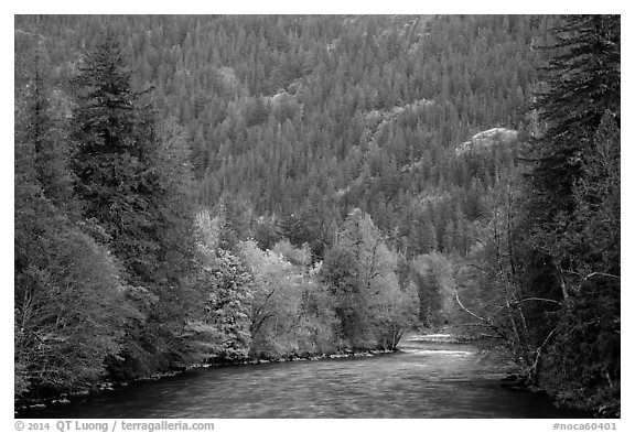 Skagit River in autumn, North Cascades National Park Service Complex.  (black and white)