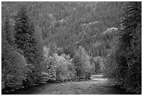 Skagit River in autumn, North Cascades National Park Service Complex.  ( black and white)