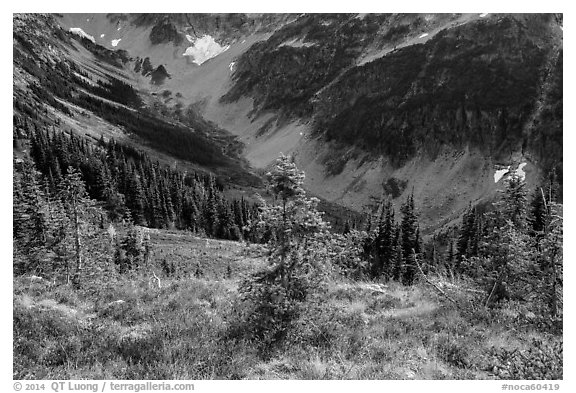 Fisher Creek Basin valley, North Cascades National Park.  (black and white)