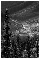 Fisher Creek in autumn, North Cascades National Park.  ( black and white)