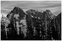 Fisher Peak trees at sunset, North Cascades National Park.  ( black and white)