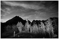 Larch trees and mountains from Easy Pass at night, North Cascades National Park.  ( black and white)