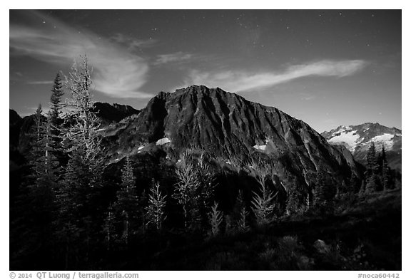 Larches and Mount Logan from Easy Pass at night, North Cascades National Park.  (black and white)