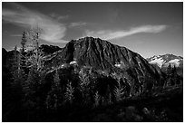 Larches and Mount Logan from Easy Pass at night, North Cascades National Park.  ( black and white)