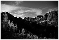 Larch trees and Fisher Creek cirque at night, North Cascades National Park.  ( black and white)