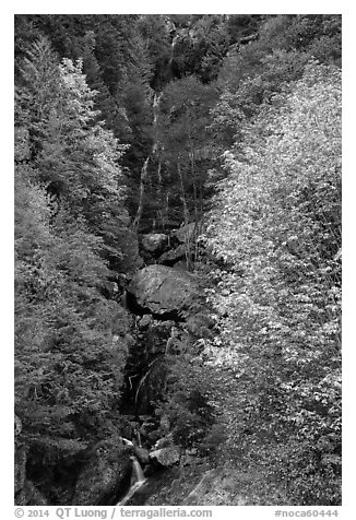 Waterfall in autumn, North Cascades National Park Service Complex.  (black and white)