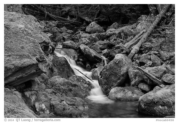 Creek flowing over mossy rocks, North Cascades National Park Service Complex.  (black and white)