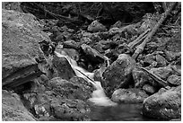 Creek flowing over mossy rocks, North Cascades National Park Service Complex.  ( black and white)