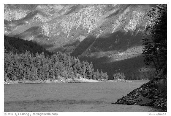 Water-level view of Ross Lake, North Cascades National Park Service Complex.  (black and white)